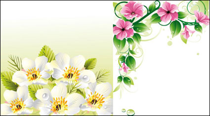 الحدود زهرة المتجهات \ u0026amp؛ الخلفية