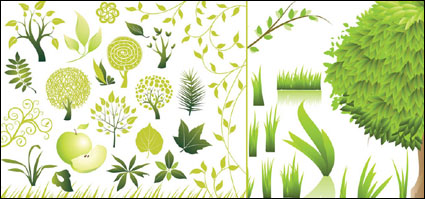 Green Vector			 