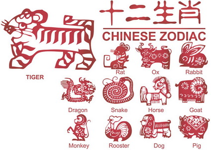 أنماط زودياك وناقلات جديدة 12