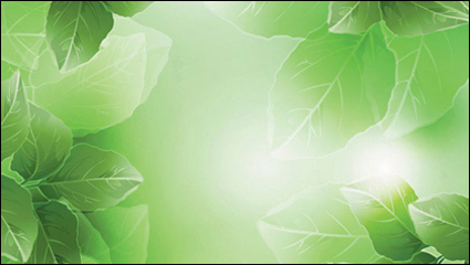 Dream plant vector background material -4